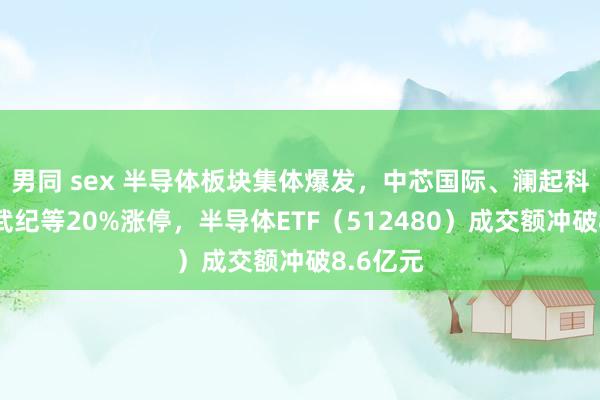 男同 sex 半导体板块集体爆发，中芯国际、澜起科技、寒武纪等20%涨停，半导体ETF（512480）成交额冲破8.6亿元
