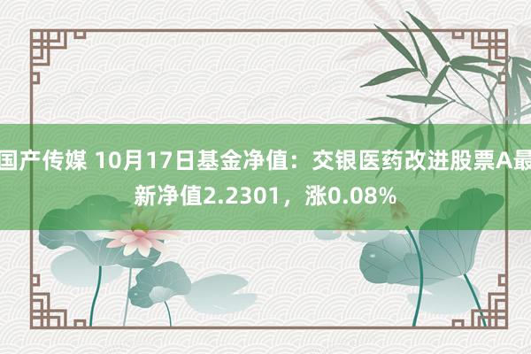 国产传媒 10月17日基金净值：交银医药改进股票A最新净值2.2301，涨0.08%