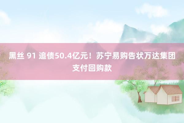 黑丝 91 追债50.4亿元！苏宁易购告状万达集团支付回购款