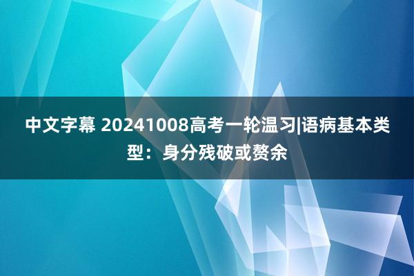 中文字幕 20241008高考一轮温习|语病基本类型：身分残破或赘余