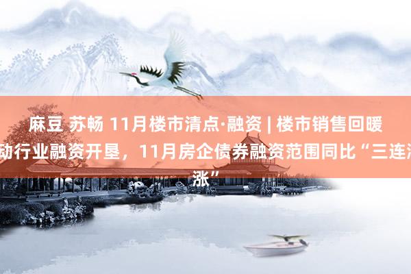 麻豆 苏畅 11月楼市清点·融资 | 楼市销售回暖带动行业融资开垦，11月房企债券融资范围同比“三连涨”