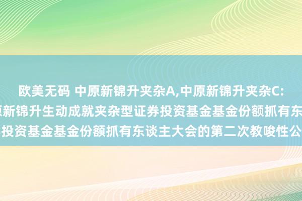欧美无码 中原新锦升夹杂A，中原新锦升夹杂C: 对于以通信花样召开中原新锦升生动成就夹杂型证券投资基金基金份额抓有东谈主大会的第二次教唆性公告