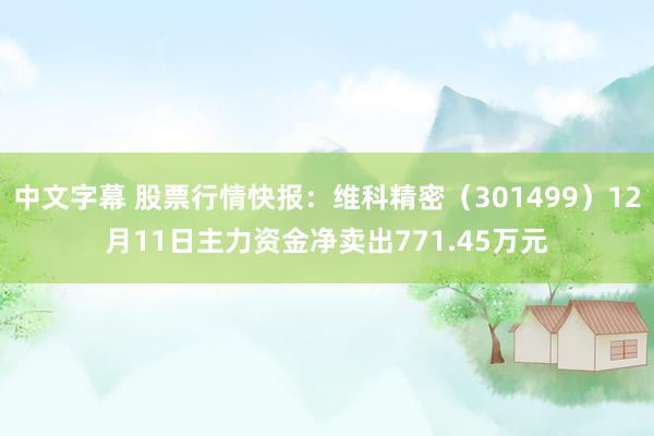 中文字幕 股票行情快报：维科精密（301499）12月11日主力资金净卖出771.45万元