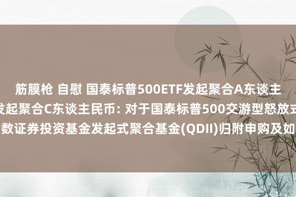 筋膜枪 自慰 国泰标普500ETF发起聚合A东谈主民币,国泰标普500ETF发起聚合C东谈主民币: 对于国泰标普500交游型怒放式指数证券投资基金发起式聚合基金(QDII)归附申购及如期定额投资业务(戒指大额)的公告