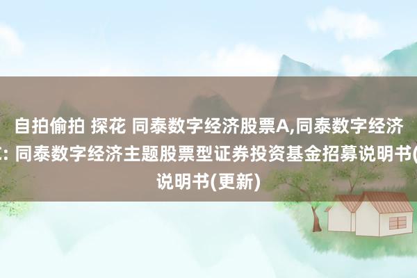 自拍偷拍 探花 同泰数字经济股票A,同泰数字经济股票C: 同泰数字经济主题股票型证券投资基金招募说明书(更新)
