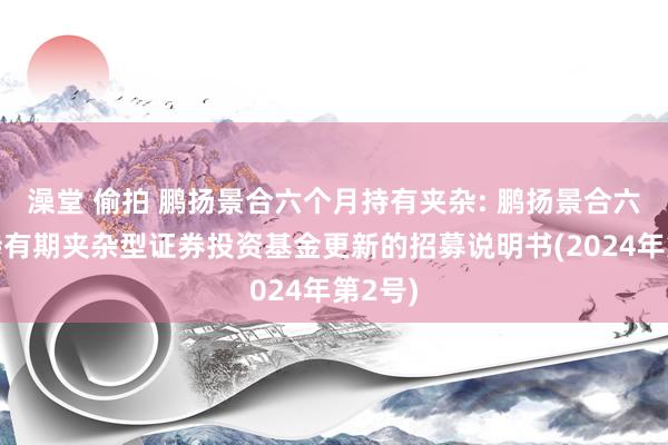 澡堂 偷拍 鹏扬景合六个月持有夹杂: 鹏扬景合六个月持有期夹杂型证券投资基金更新的招募说明书(2024年第2号)