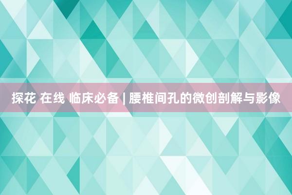 探花 在线 临床必备 | 腰椎间孔的微创剖解与影像