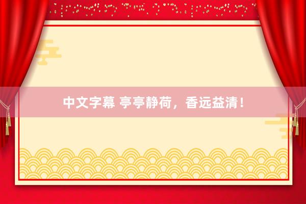 中文字幕 亭亭静荷，香远益清！