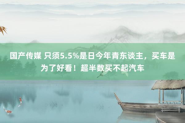 国产传媒 只须5.5%是日今年青东谈主，买车是为了好看！超半数买不起汽车