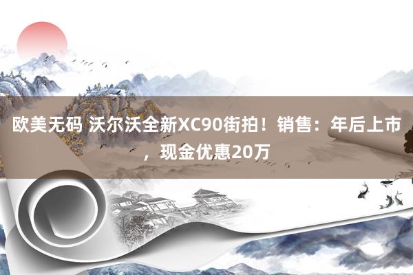 欧美无码 沃尔沃全新XC90街拍！销售：年后上市，现金优惠20万