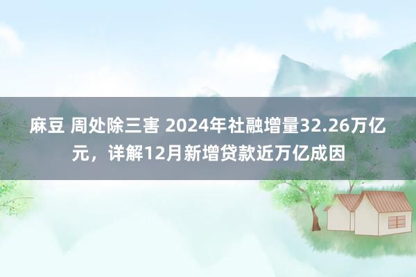 麻豆 周处除三害 2024年社融增量32.26万亿元，详解12月新增贷款近万亿成因