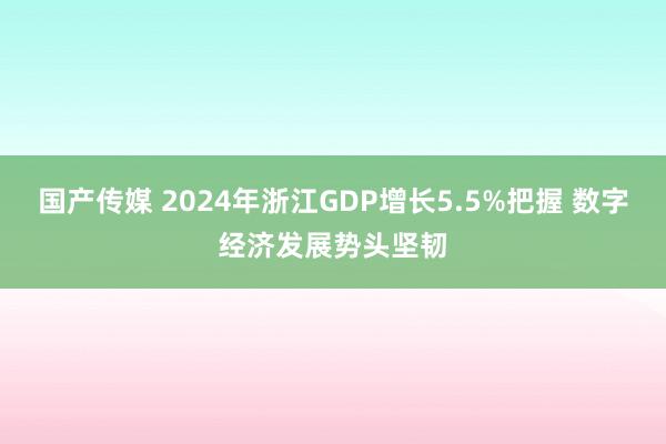 国产传媒 2024年浙江GDP增长5.5%把握 数字经济发展势头坚韧
