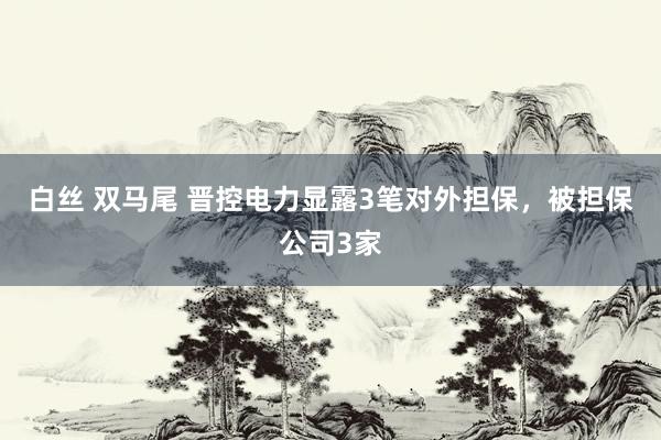 白丝 双马尾 晋控电力显露3笔对外担保，被担保公司3家
