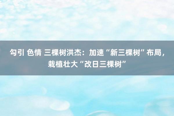 勾引 色情 三棵树洪杰：加速“新三棵树”布局，栽植壮大“改日三棵树”