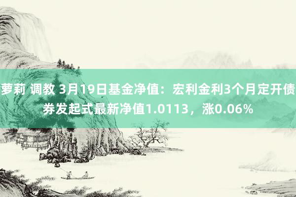 萝莉 调教 3月19日基金净值：宏利金利3个月定开债券发起式最新净值1.0113，涨0.06%