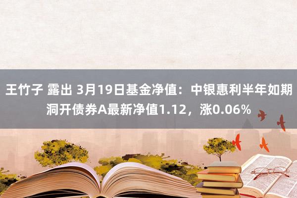 王竹子 露出 3月19日基金净值：中银惠利半年如期洞开债券A最新净值1.12，涨0.06%