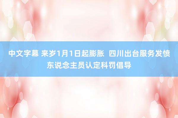 中文字幕 来岁1月1日起膨胀  四川出台服务发愤东说念主员认定科罚倡导