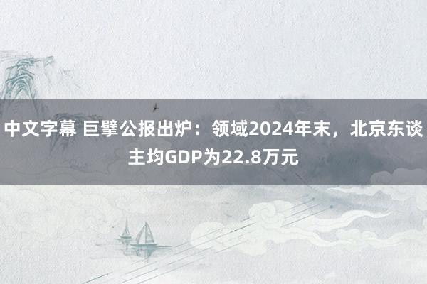 中文字幕 巨擘公报出炉：领域2024年末，北京东谈主均GDP为22.8万元