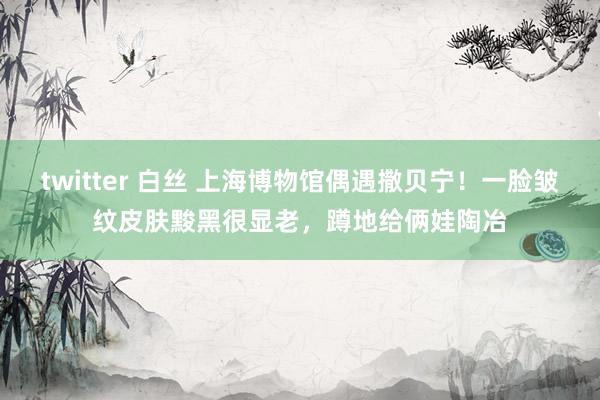 twitter 白丝 上海博物馆偶遇撒贝宁！一脸皱纹皮肤黢黑很显老，蹲地给俩娃陶冶