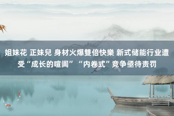 姐妹花 正妹兒 身材火爆雙倍快樂 新式储能行业遭受“成长的喧阗” “内卷式”竞争亟待责罚