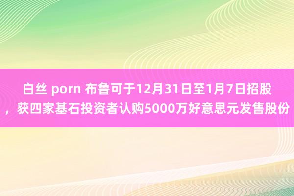 白丝 porn 布鲁可于12月31日至1月7日招股，获四家基石投资者认购5000万好意思元发售股份