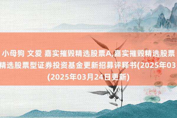 小母狗 文爱 嘉实摧毁精选股票A,嘉实摧毁精选股票C: 嘉实摧毁精选股票型证券投资基金更新招募评释书(2025年03月24日更新)