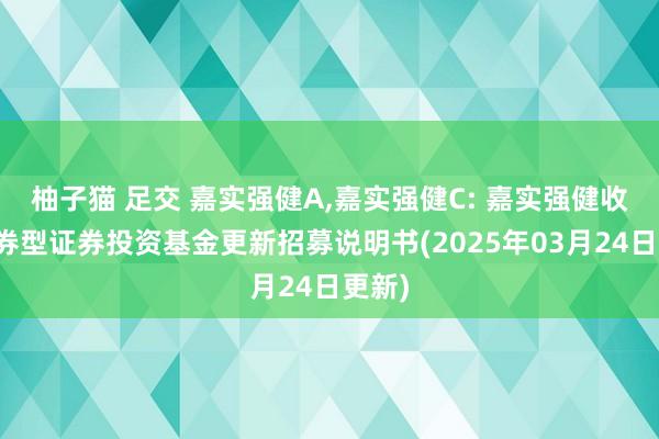 柚子猫 足交 嘉实强健A,嘉实强健C: 嘉实强健收益债券型证券投资基金更新招募说明书(2025年03月24日更新)