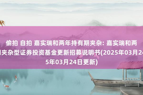 偷拍 自拍 嘉实瑞和两年持有期夹杂: 嘉实瑞和两年持有期夹杂型证券投资基金更新招募说明书(2025年03月24日更新)