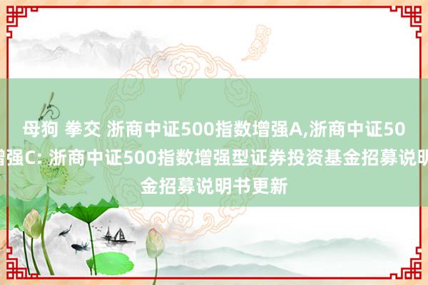 母狗 拳交 浙商中证500指数增强A,浙商中证500指数增强C: 浙商中证500指数增强型证券投资基金招募说明书更新