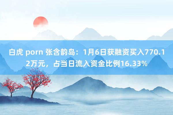 白虎 porn 张含韵岛：1月6日获融资买入770.12万元，占当日流入资金比例16.33%
