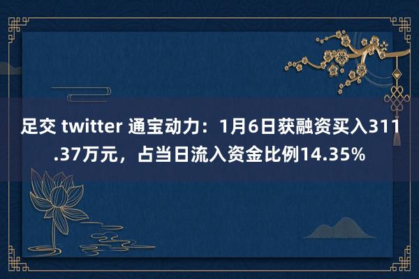 足交 twitter 通宝动力：1月6日获融资买入311.37万元，占当日流入资金比例14.35%