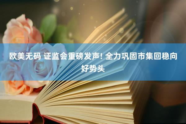 欧美无码 证监会重磅发声! 全力巩固市集回稳向好势头
