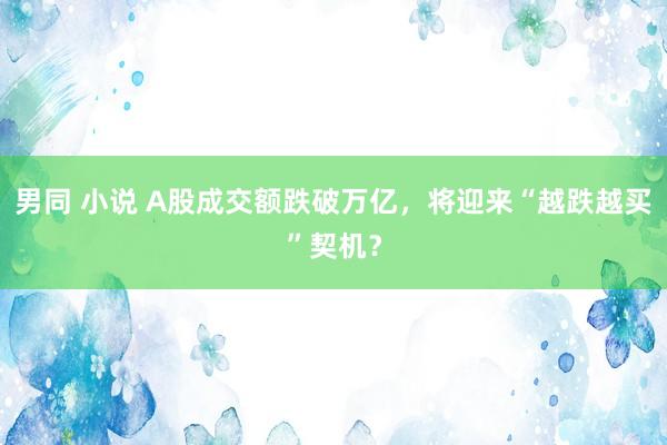 男同 小说 A股成交额跌破万亿，将迎来“越跌越买”契机？