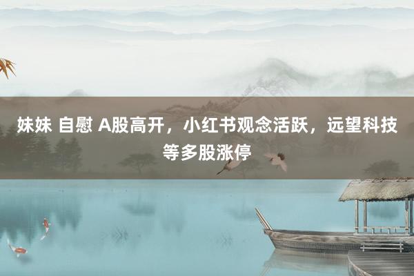 妹妹 自慰 A股高开，小红书观念活跃，远望科技等多股涨停