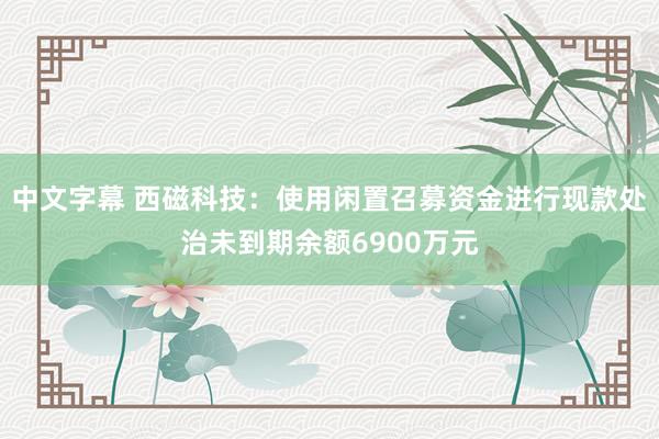 中文字幕 西磁科技：使用闲置召募资金进行现款处治未到期余额6900万元