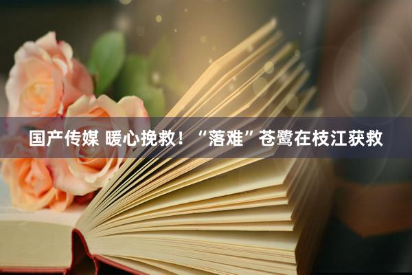 国产传媒 暖心挽救！“落难”苍鹭在枝江获救