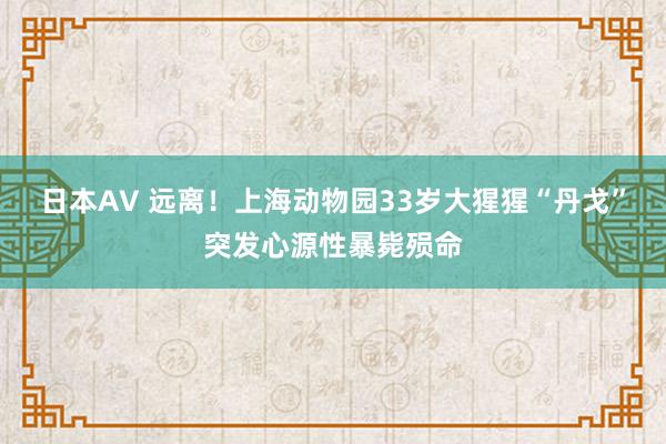 日本AV 远离！上海动物园33岁大猩猩“丹戈”突发心源性暴毙殒命