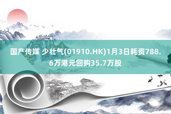 国产传媒 少壮气(01910.HK)1月3日耗资788.6万港元回购35.7万股