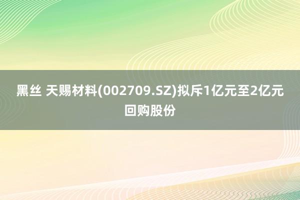 黑丝 天赐材料(002709.SZ)拟斥1亿元至2亿元回购股份