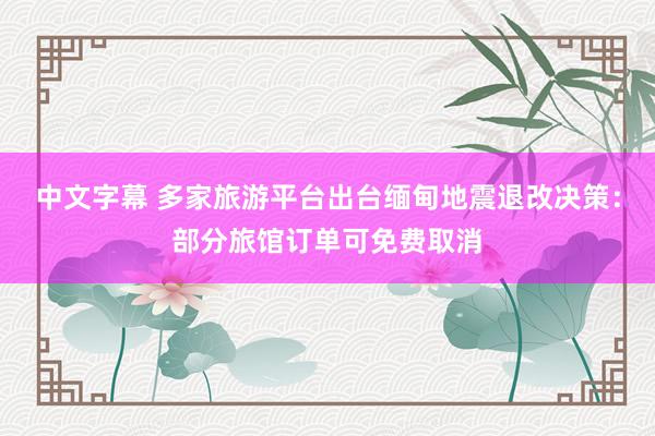 中文字幕 多家旅游平台出台缅甸地震退改决策：部分旅馆订单可免费取消
