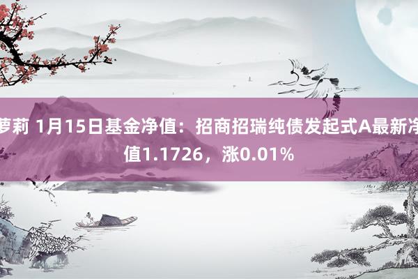 萝莉 1月15日基金净值：招商招瑞纯债发起式A最新净值1.1726，涨0.01%