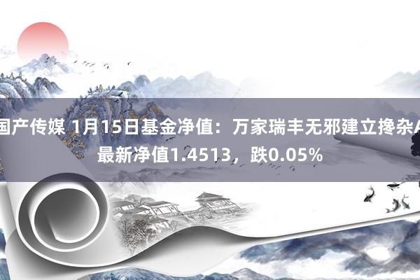 国产传媒 1月15日基金净值：万家瑞丰无邪建立搀杂A最新净值1.4513，跌0.05%