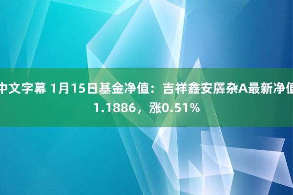 中文字幕 1月15日基金净值：吉祥鑫安羼杂A最新净值1.1886，涨0.51%