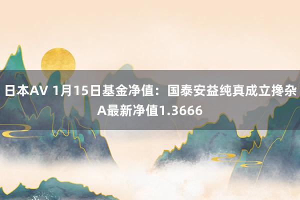 日本AV 1月15日基金净值：国泰安益纯真成立搀杂A最新净值1.3666