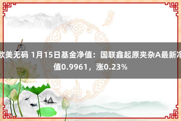 欧美无码 1月15日基金净值：国联鑫起原夹杂A最新净值0.9961，涨0.23%