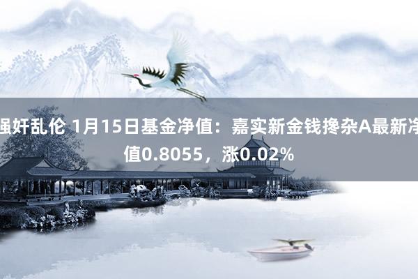 强奸乱伦 1月15日基金净值：嘉实新金钱搀杂A最新净值0.8055，涨0.02%