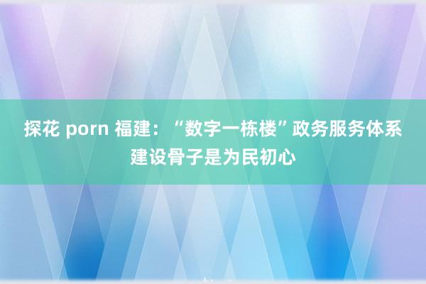 探花 porn 福建：“数字一栋楼”政务服务体系建设骨子是为民初心