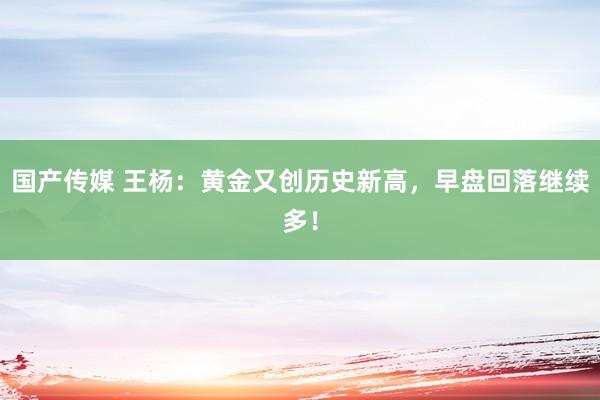 国产传媒 王杨：黄金又创历史新高，早盘回落继续多！