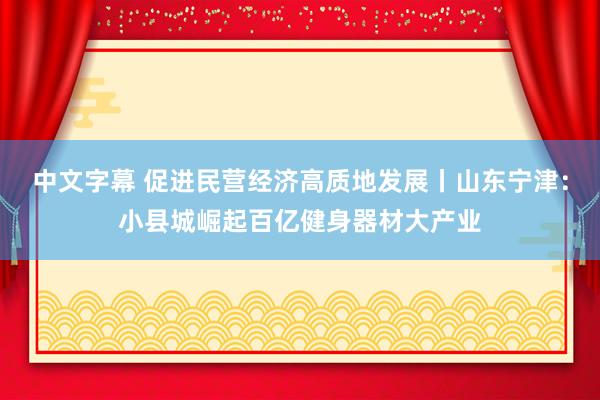 中文字幕 促进民营经济高质地发展丨山东宁津：小县城崛起百亿健身器材大产业
