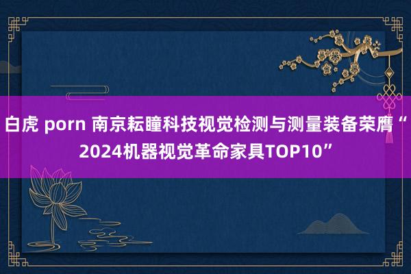 白虎 porn 南京耘瞳科技视觉检测与测量装备荣膺“2024机器视觉革命家具TOP10”